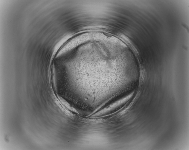 X0000100391196200806201706