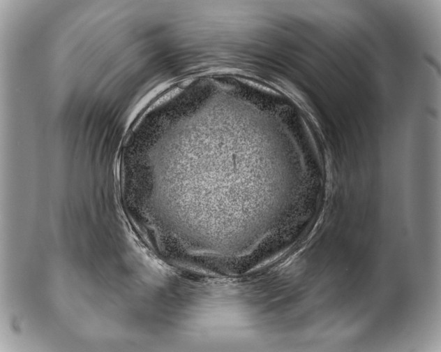 X0000100391198200806201706