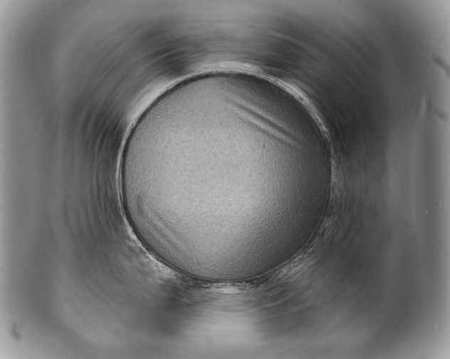 X0000100391199200806201706