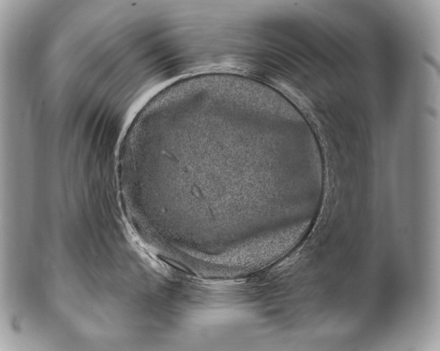 X0000100391200200806201706