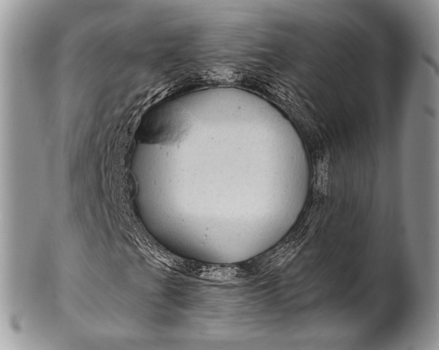 X0000100391201200806201705