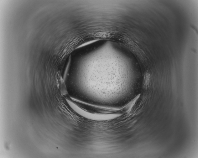 X0000100391202200806201706