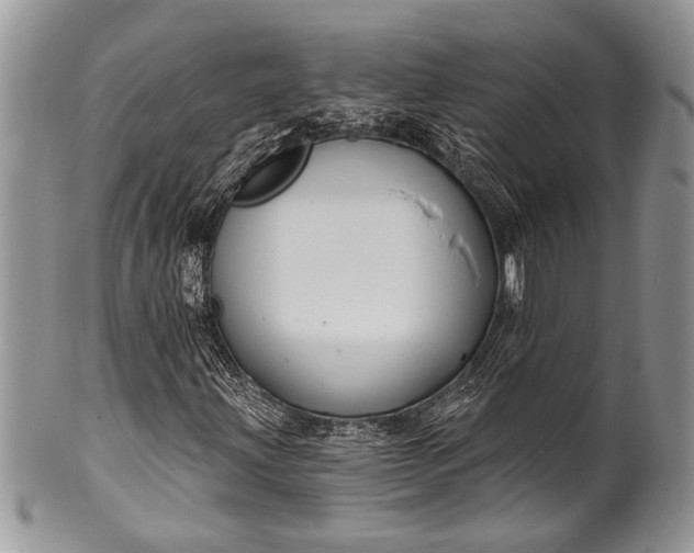 X0000100391203200806201706