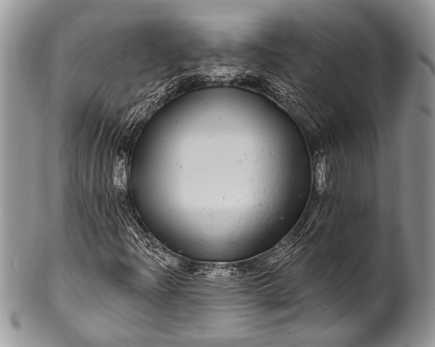 X0000100391204200806201706