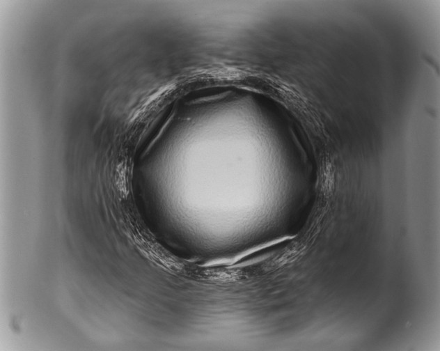 X0000100391205200806201706