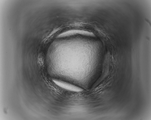 X0000100391206200806201706