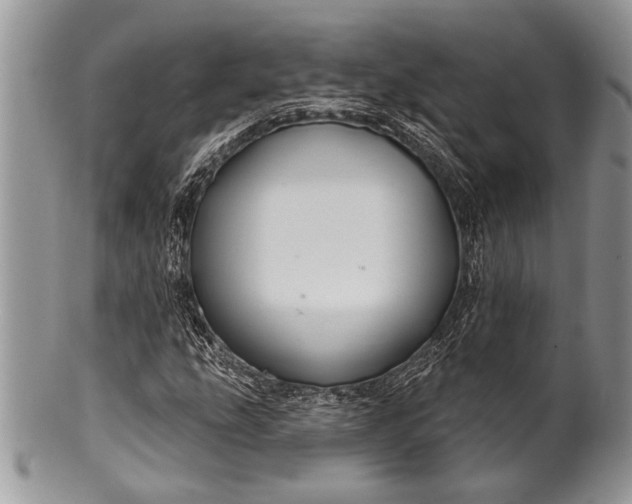 X0000100391207200806201706