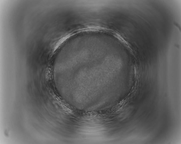 X0000100391208200806201706