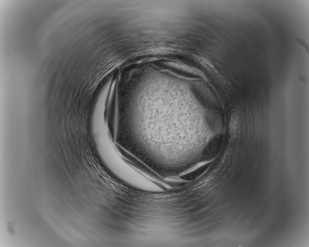 X0000100391209200806201706