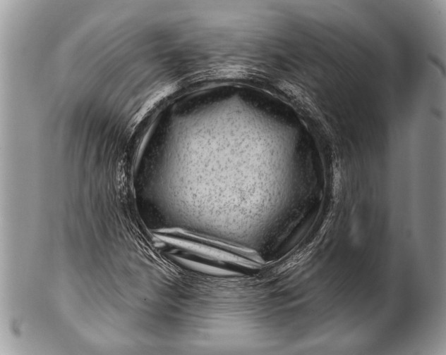 X0000100391210200806201706