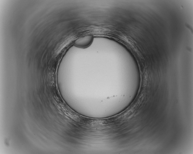 X0000100391211200806201706