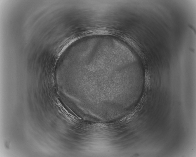 X0000100391212200806201706