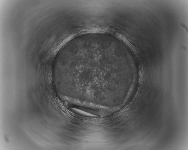 X0000100391213200806201706