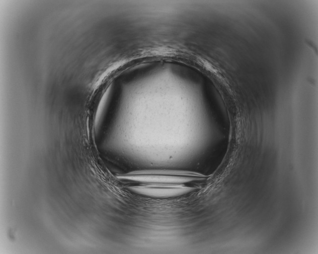 X0000100391214200806201706