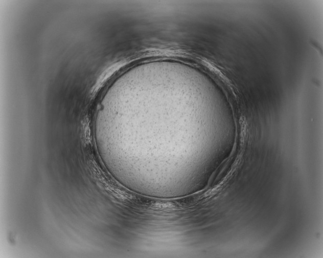 X0000100391215200806201706