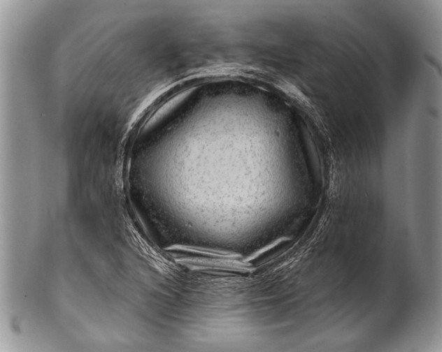 X0000100391216200806201706