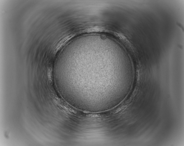 X0000100391217200806201706