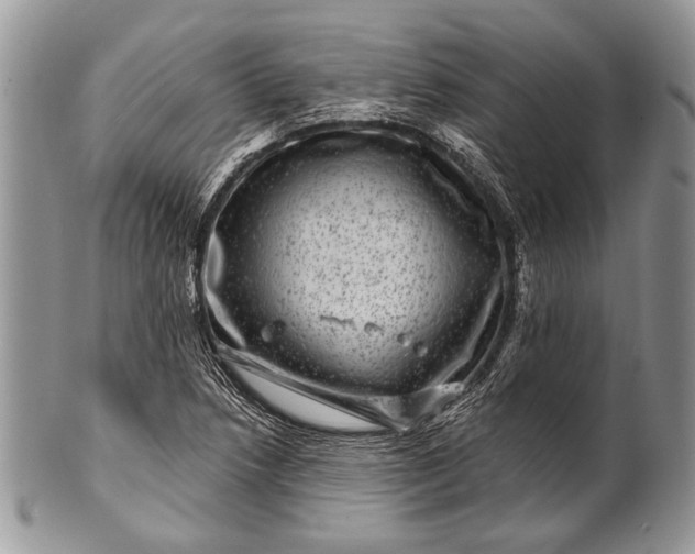 X0000100391218200806201706