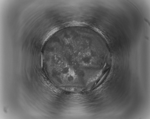 X0000100391219200806201706