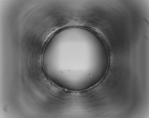 X0000100391220200806201706