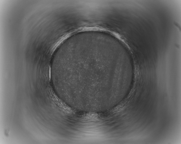 X0000100391221200806201706