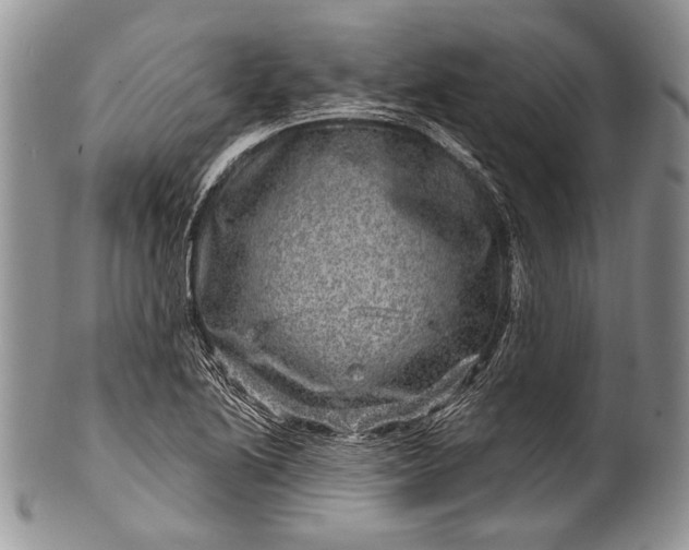 X0000100391222200806201706