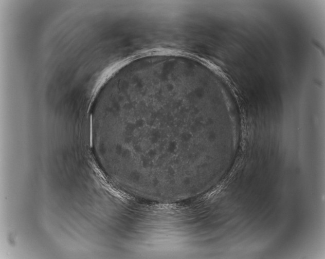 X0000100391223200806201706