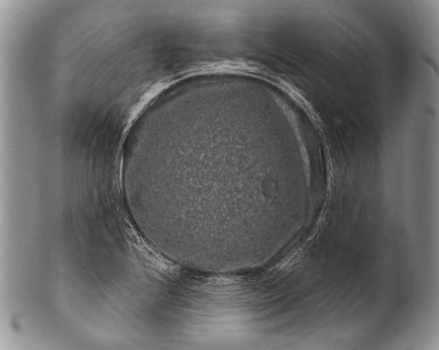 X0000100391224200806201706