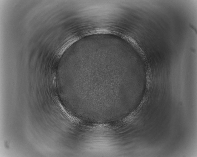 X0000100391225200806201706