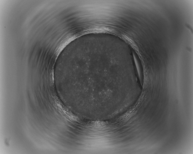 X0000100391226200806201706