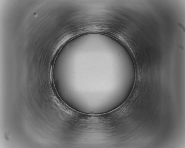 X0000100391227200806201706