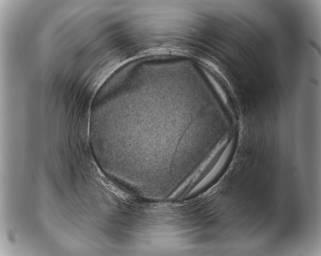 X0000100391228200806201706