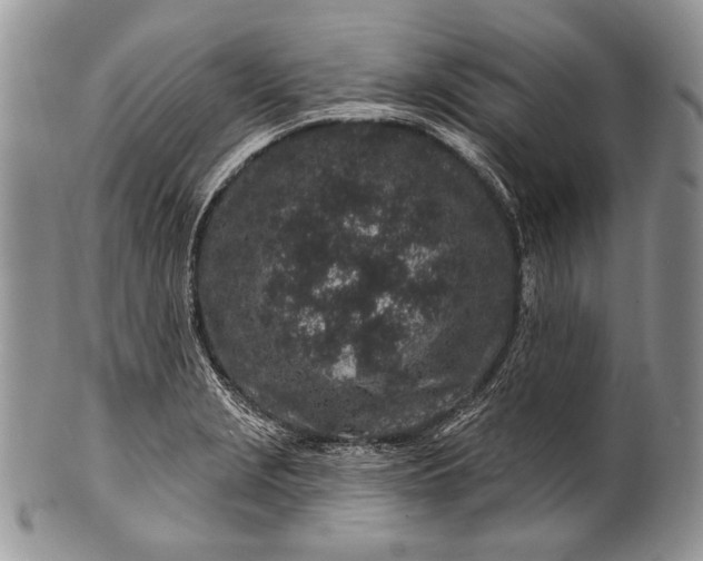 X0000100391229200806201706