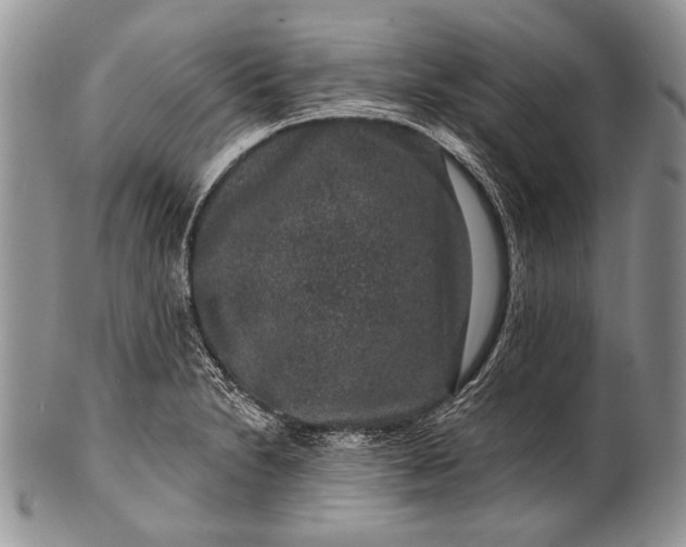 X0000100391230200806201706