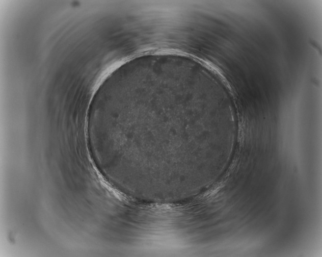 X0000100391231200806201706