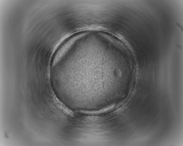 X0000100391232200806201706