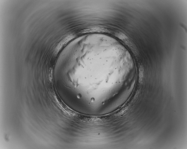 X0000100391233200806201706