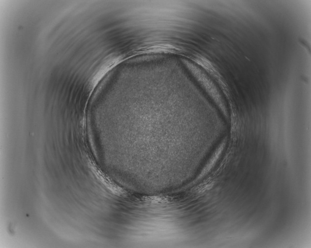 X0000100391234200806201706