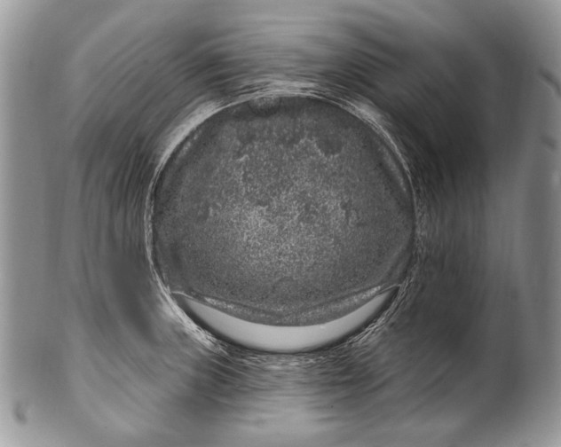 X0000100391235200806201706