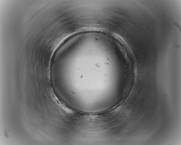 X0000100391236200806201706