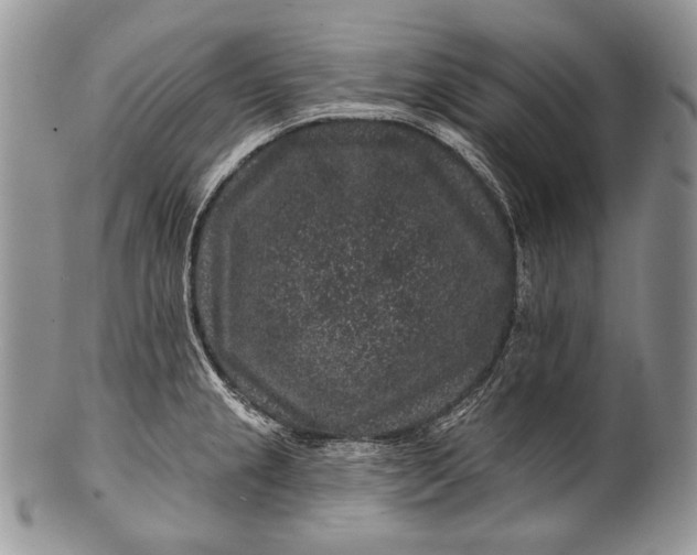 X0000100391237200806201706