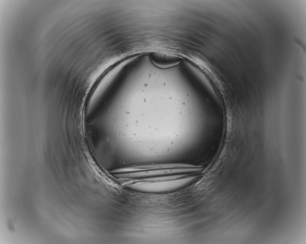 X0000100391238200806201706