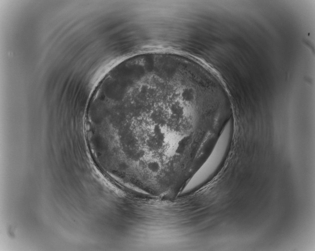 X0000100391239200806201706