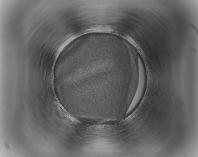 X0000100391240200806201706