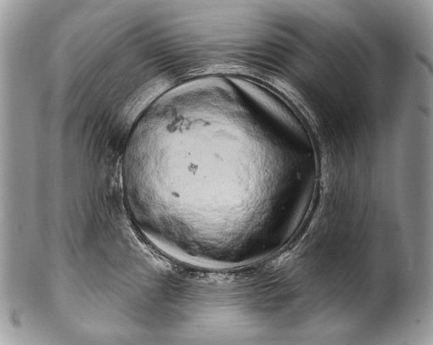 X0000100391241200806201706