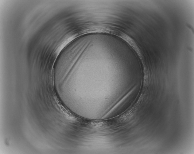 X0000100391242200806201706