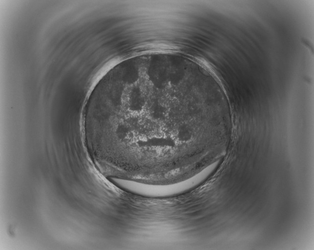 X0000100391243200806201706