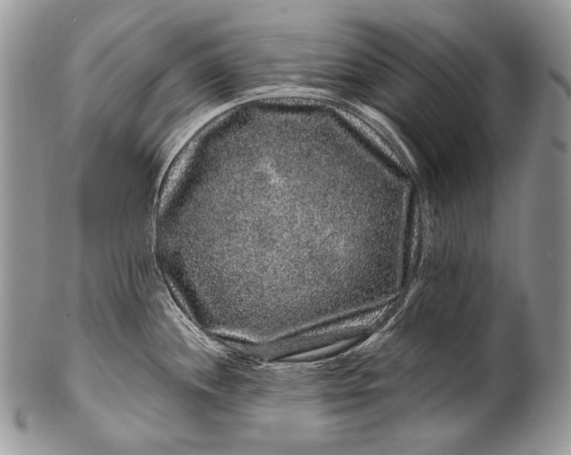 X0000100391244200806201706