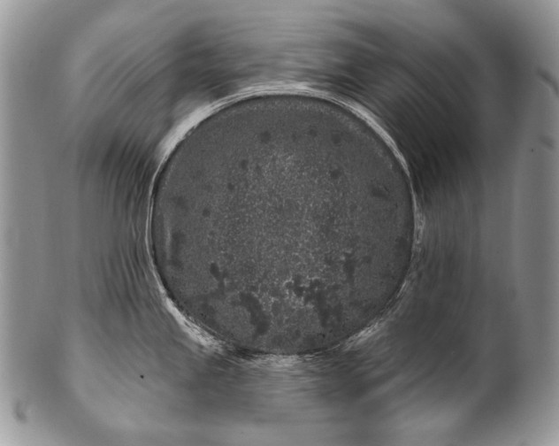 X0000100391245200806201706