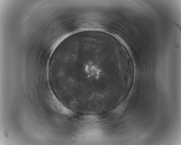 X0000100391246200806201706